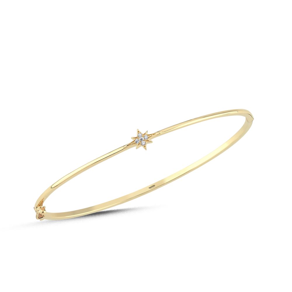 Kutup Yıldız Kelepçe