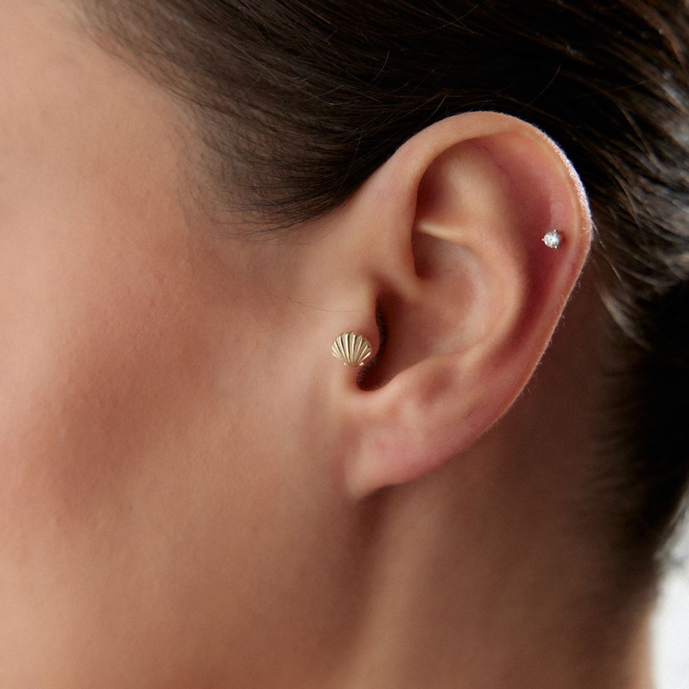 İstiridye Tasarım Piercing