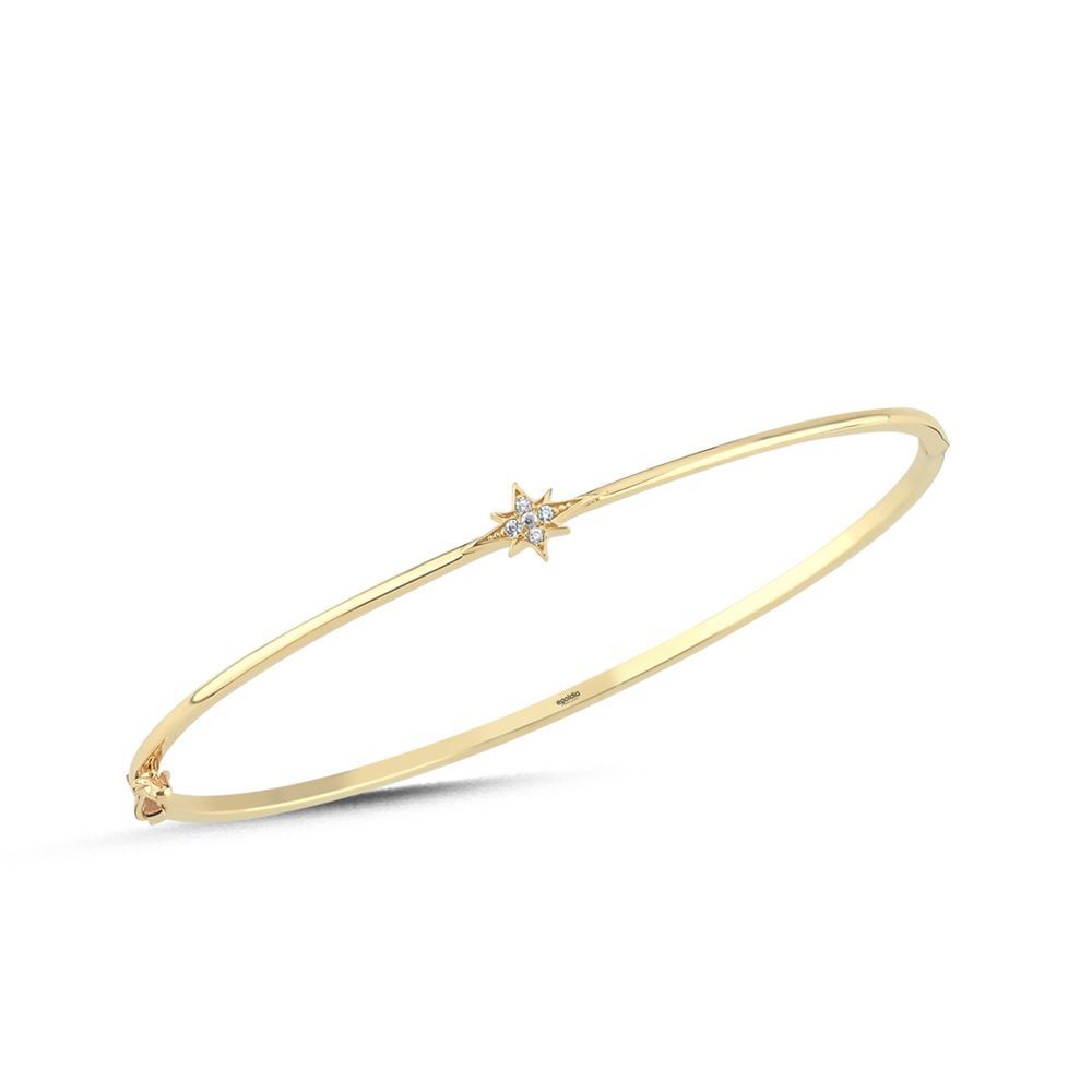 Kutup Yıldız Kelepçe